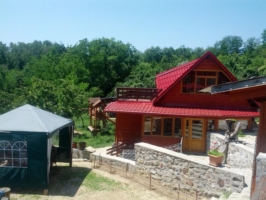 Pensiunea Magdalena Câmpulung Exterior foto